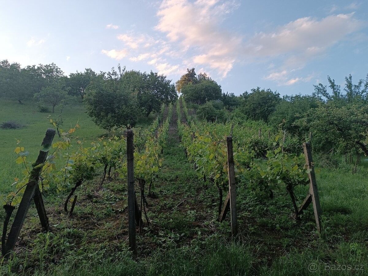 Pronájem pozemek pro bydlení - Křepice u Hustopečí, 691 65