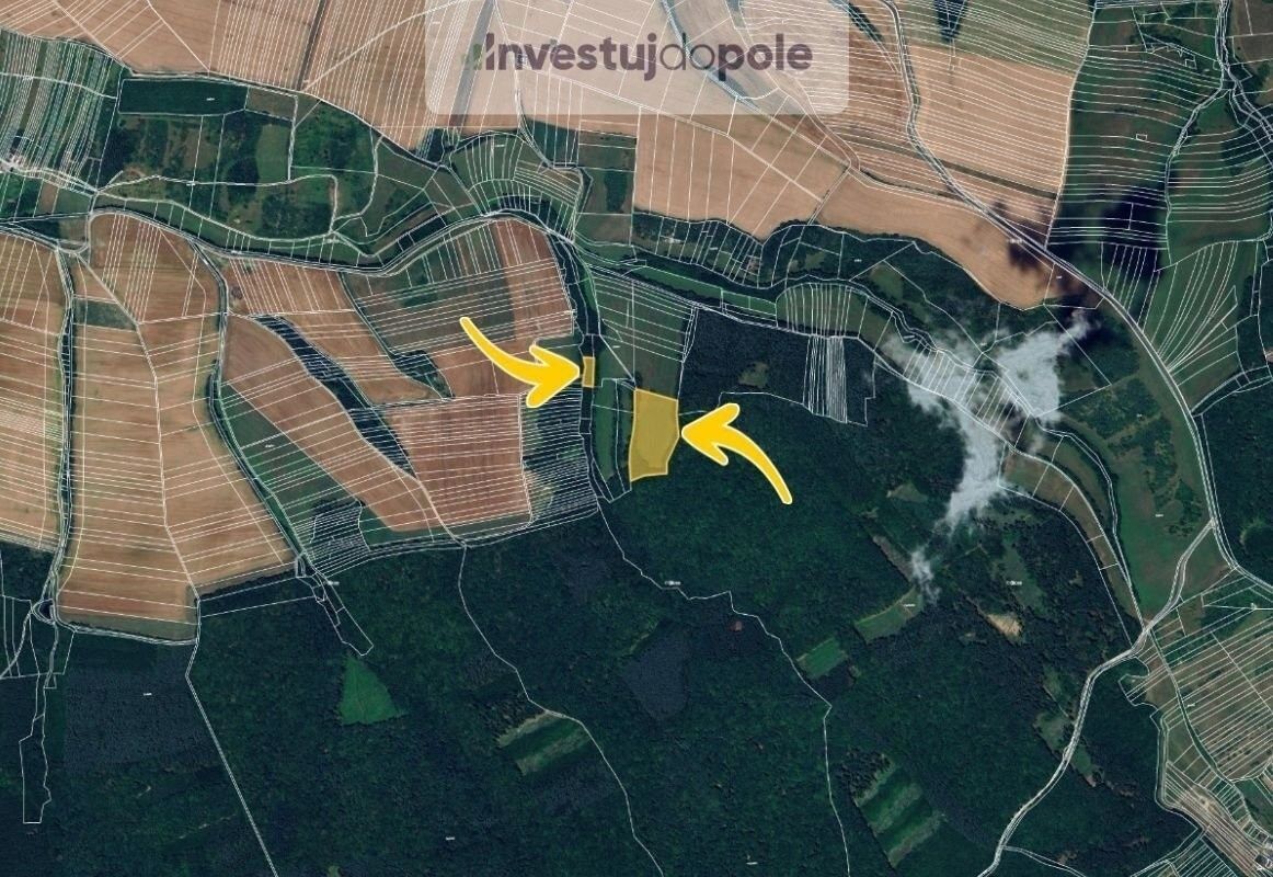 Prodej louka - Částkov, 5 052 m²