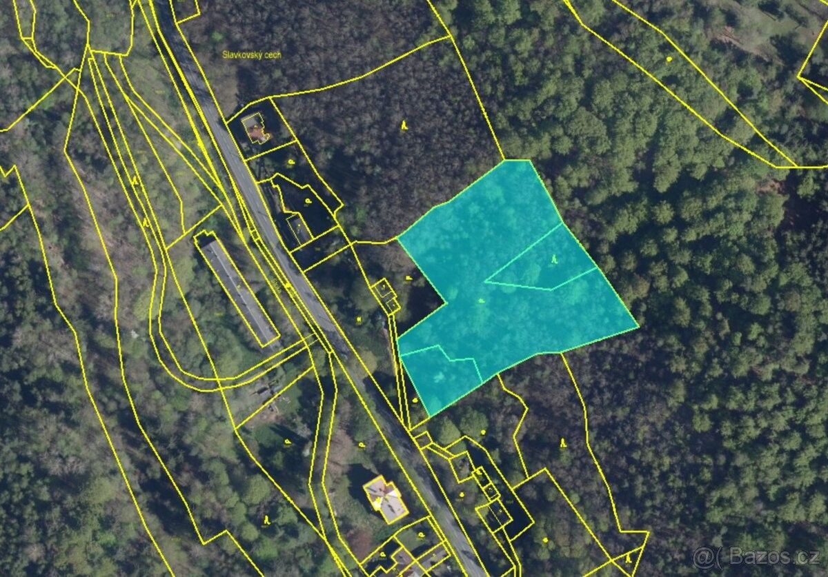 Prodej pozemek pro bydlení - Horní Slavkov, 357 31