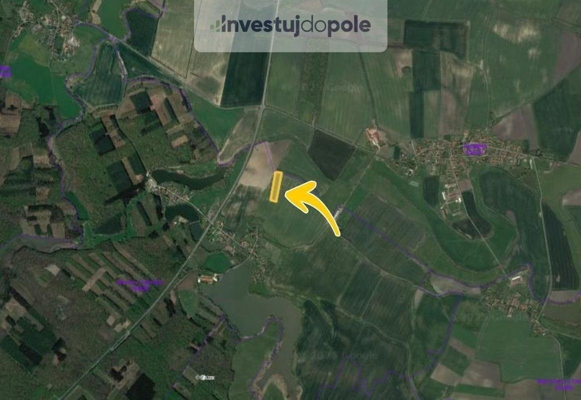 Prodej zemědělský pozemek - Chotěšice, 10 199 m²