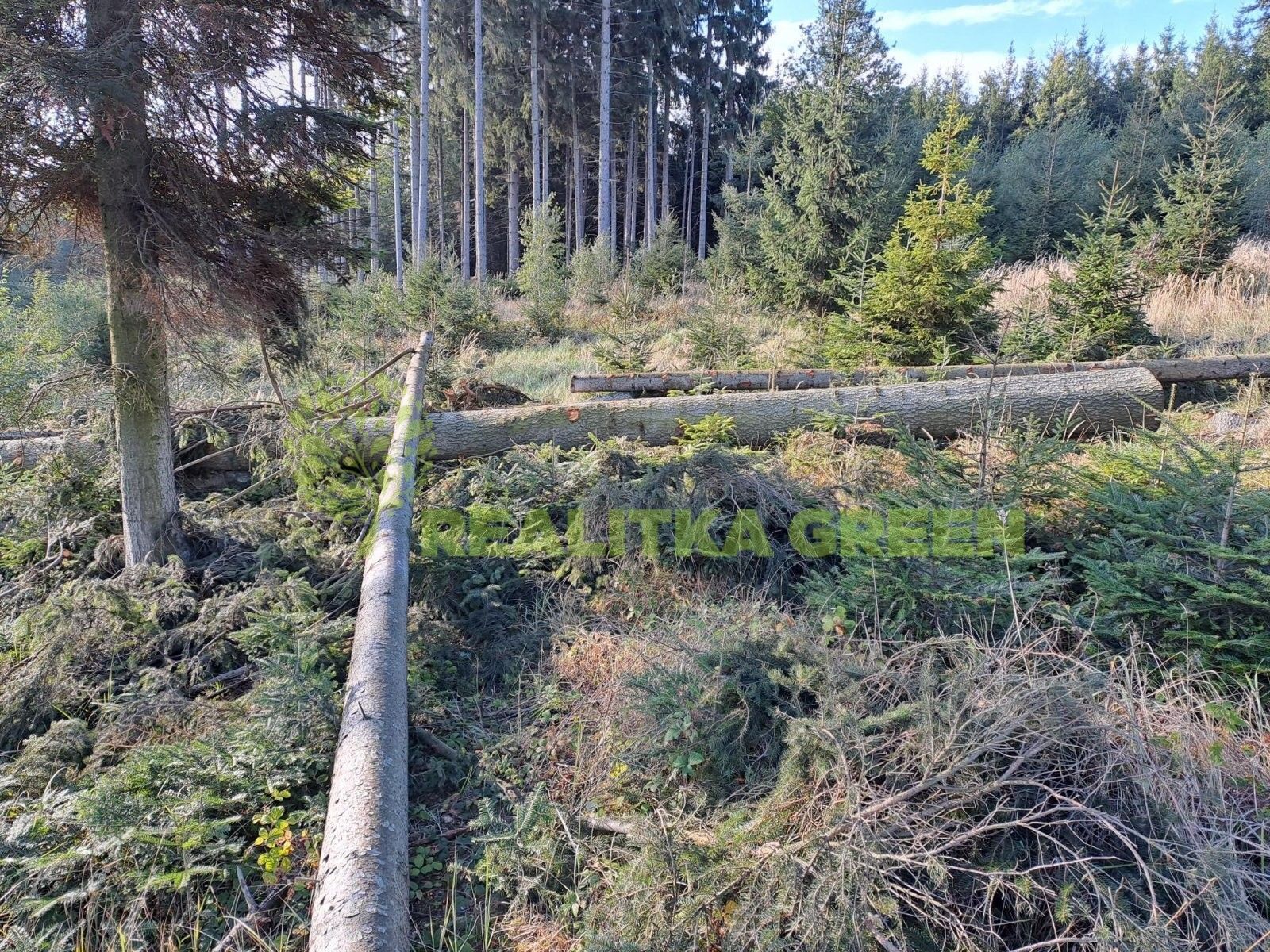 Prodej les - Velíková, Zlín, 152 613 m²