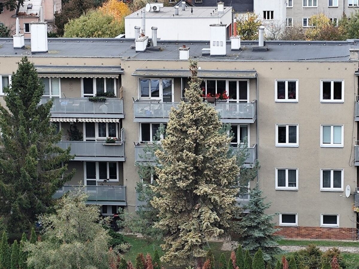 Prodej byt - Bukovany, 779 00