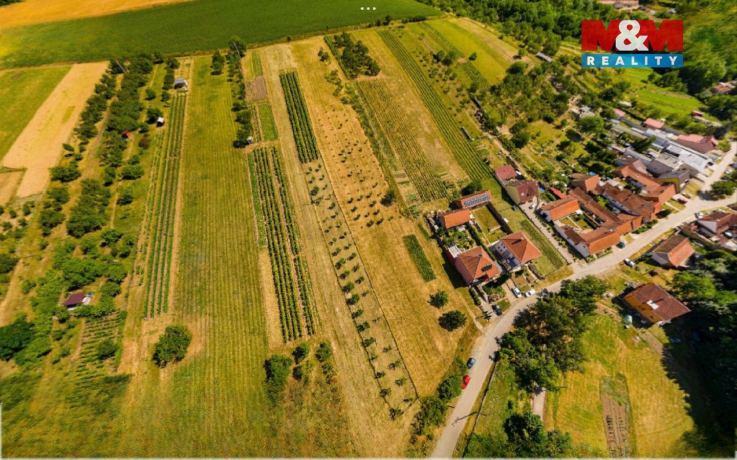 Prodej pozemek pro bydlení - Borkovany, okres Břeclav, Jihomoravský kraj - 2