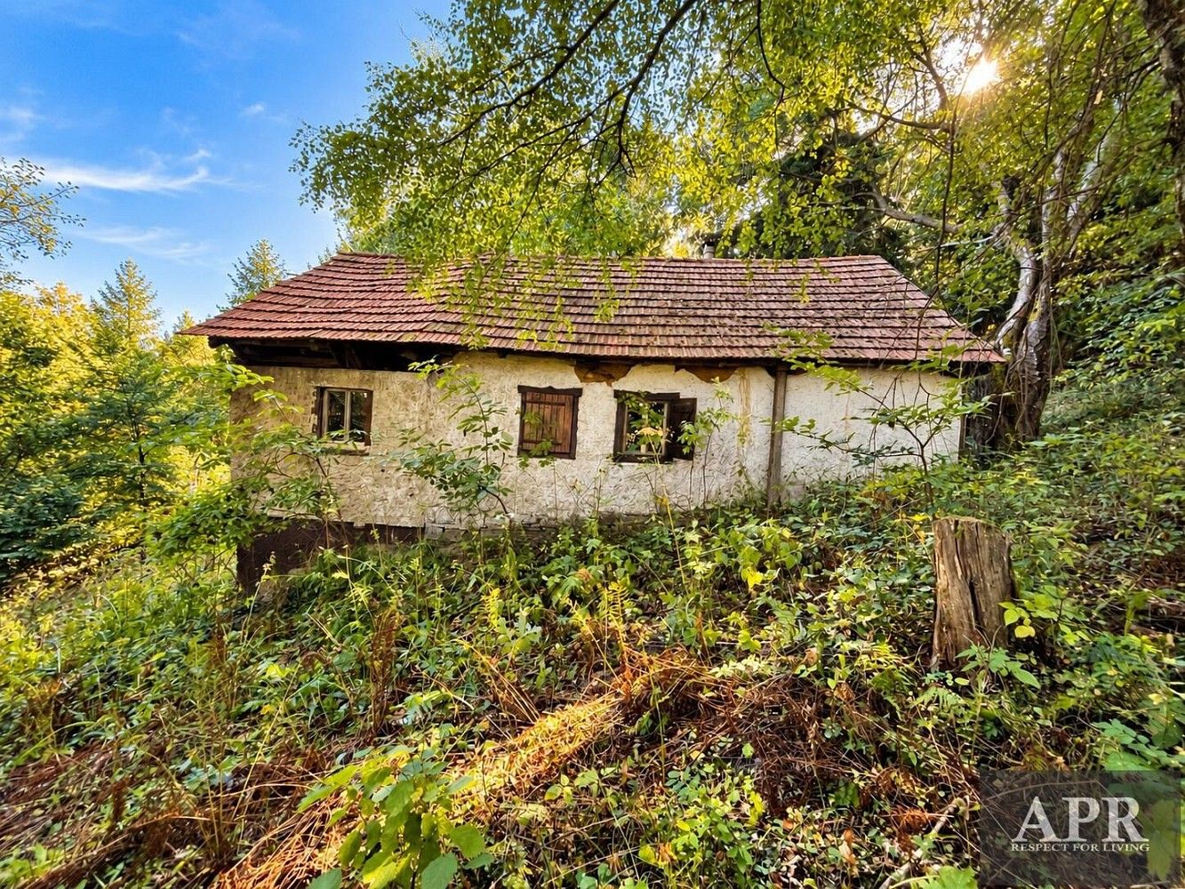 Chalupa · 41 m² · Lopeník, okres Uherské Hradiště, Zlínský kraj - 3
