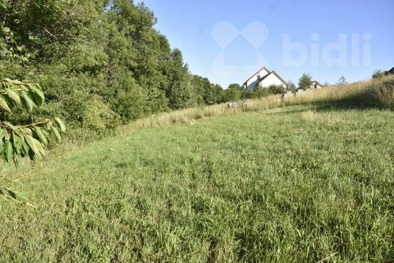 Prodej pozemek pro bydlení - Vyšehoří