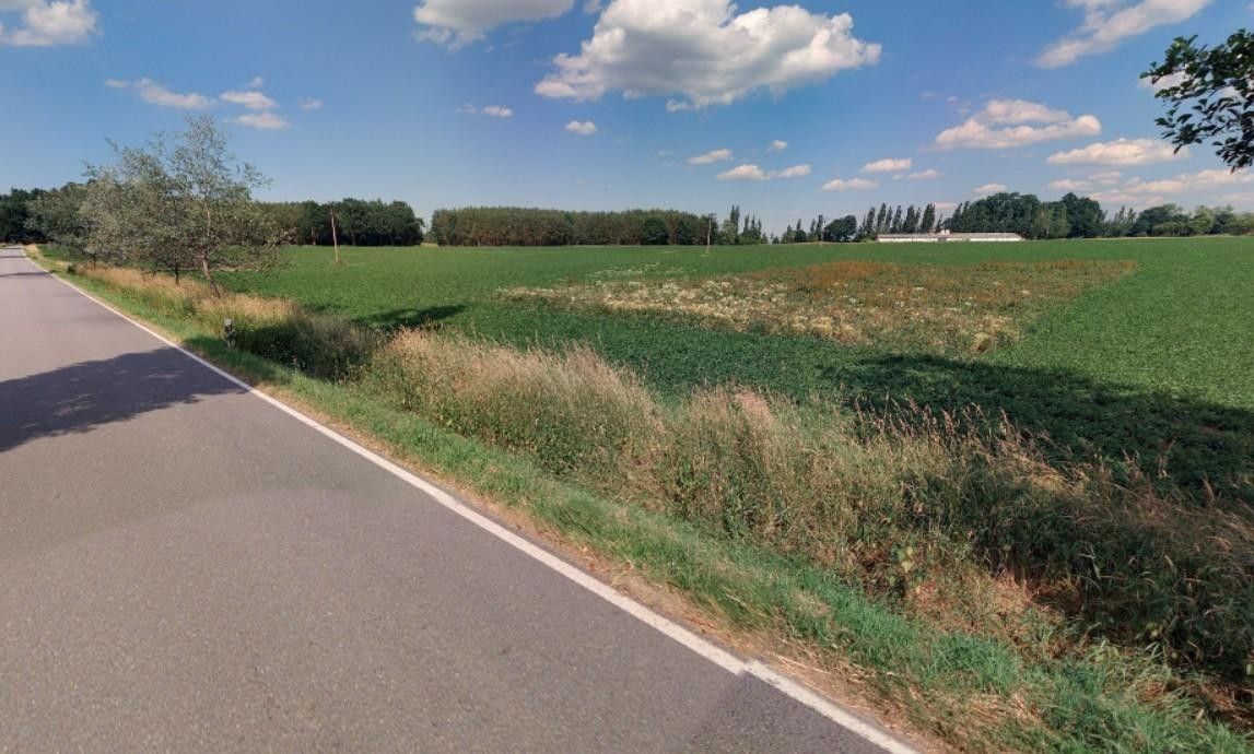 Prodej zahrada - Kášovice, Řepeč, 1 434 m²