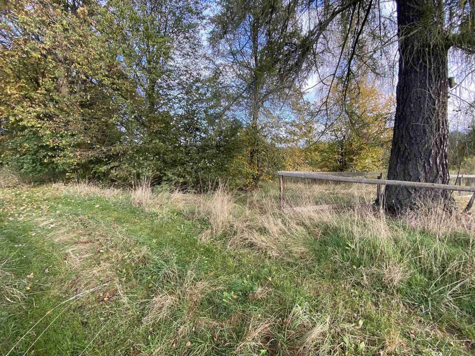 Prodej pozemek pro bydlení - Králíky Horní Lipka, 3 207 m² - 5