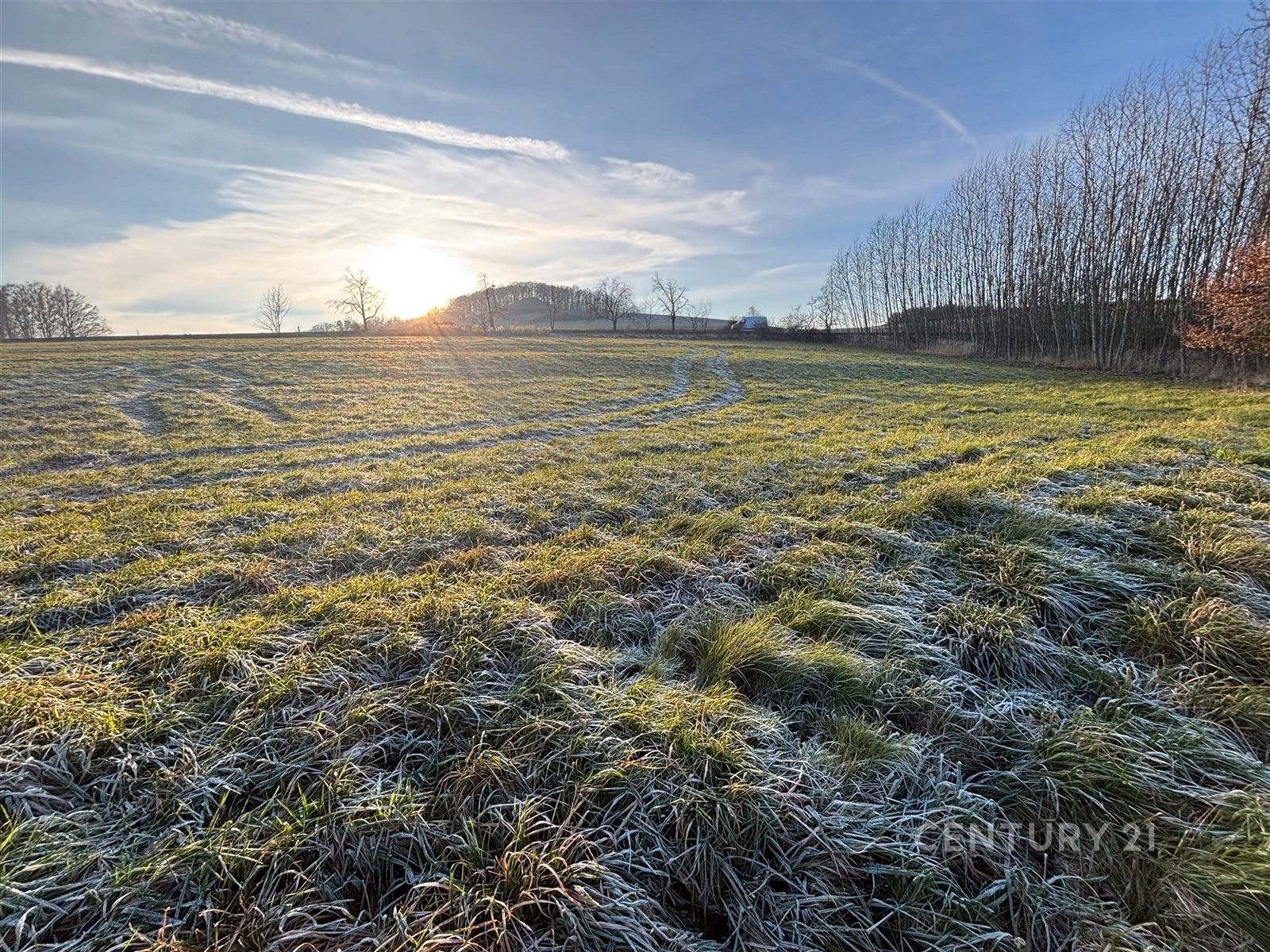 Prodej komerční pozemek - Velká Bukovina