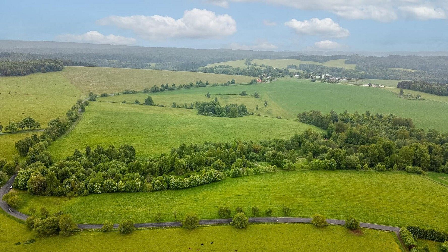 Prodej zemědělský pozemek - Krajková, okres Sokolov - 5