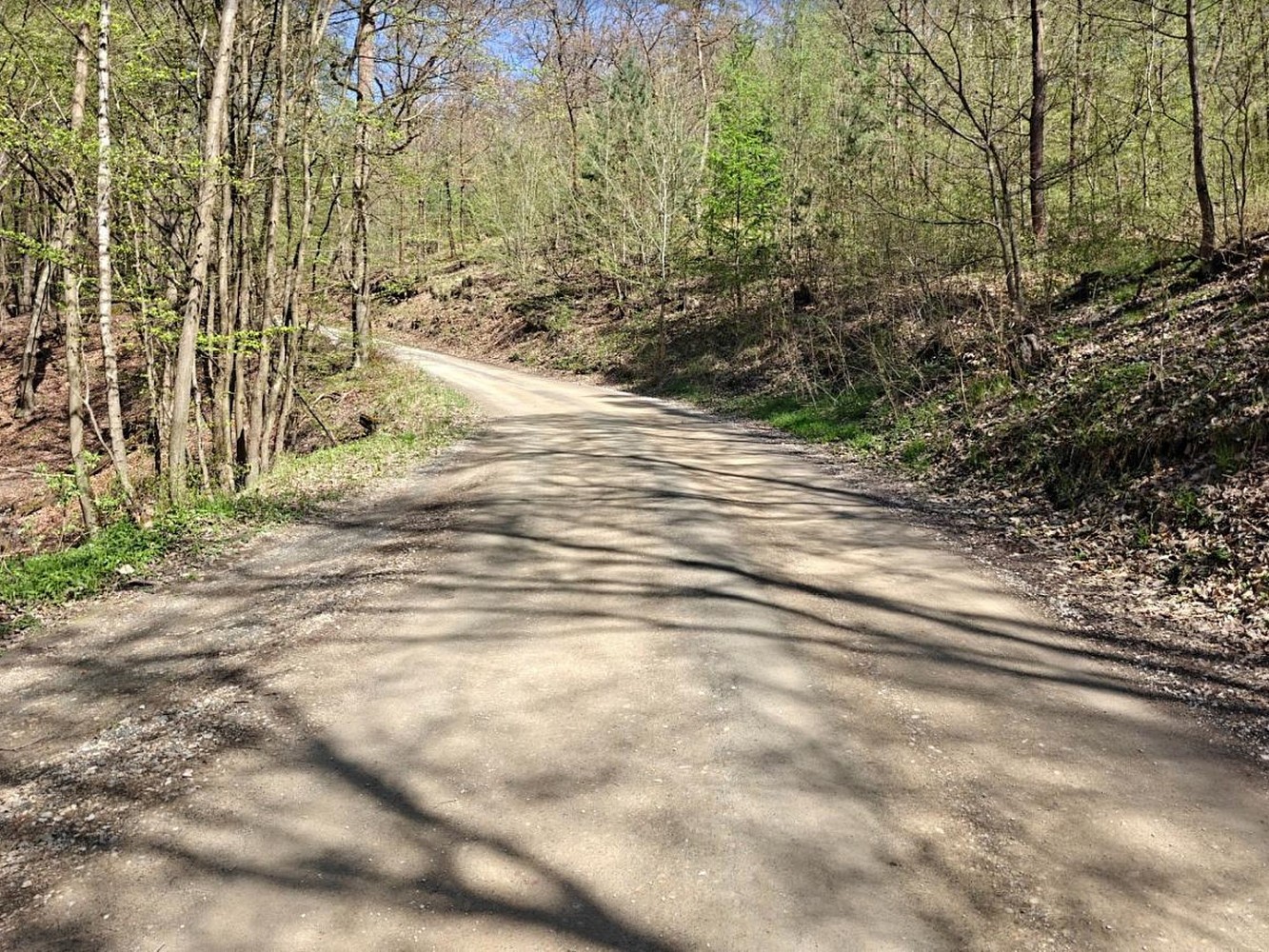 Zahrada · Nižbor, okres Beroun - 4