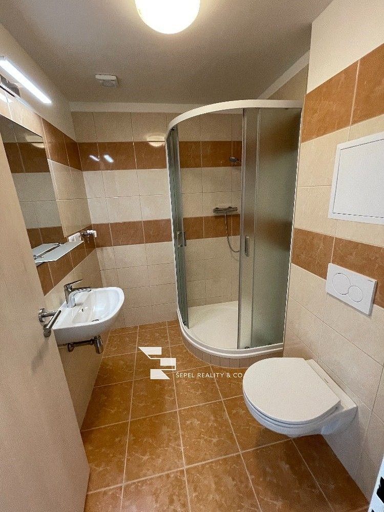 Byt 2+kk · 45 m² · Brno - Brno-město, okres Brno-město, Jihomoravský kraj - 3