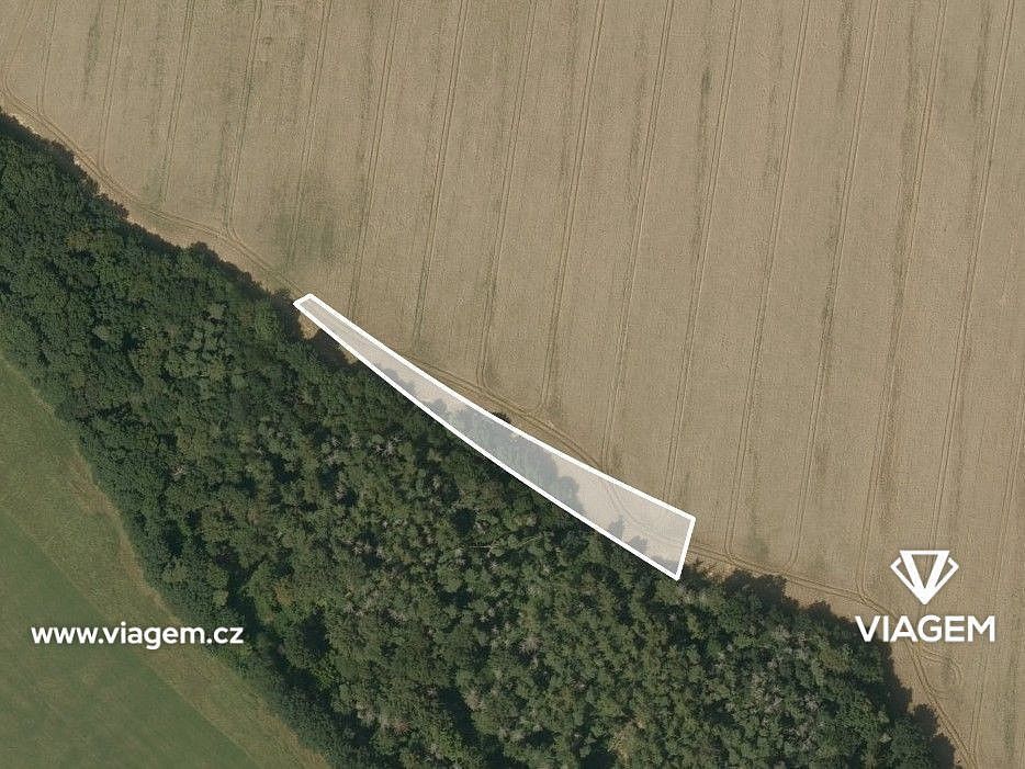 Prodej zemědělský pozemek - Mohelnice, okres Šumperk, Olomoucký kraj - 2
