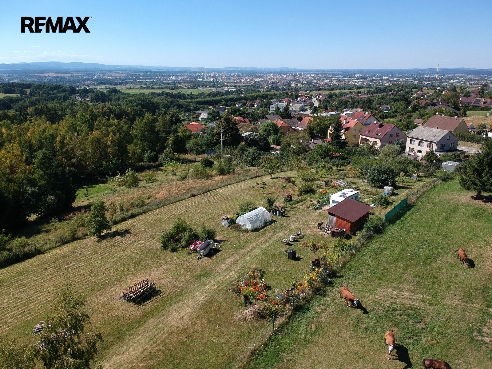 Pozemek pro bydlení · 4 142 m² · Srubec - 3