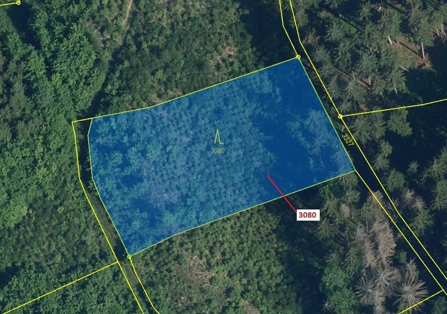Prodej les - Bystrá nad Jizerou, okres Semily, Liberecký kraj - 2