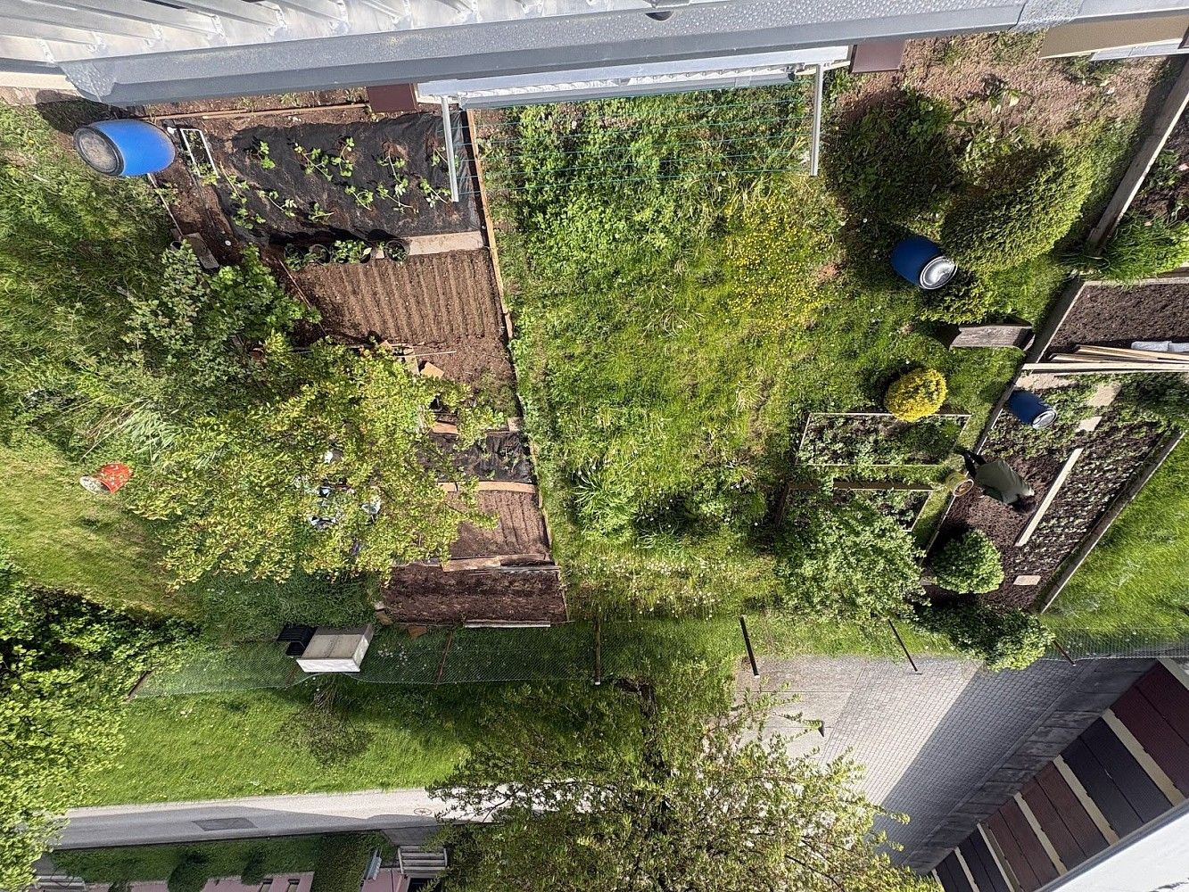 Prodej byt 3+1 - Nová Paka, okres Jičín, Královéhradecký kraj, 74 m² - 5