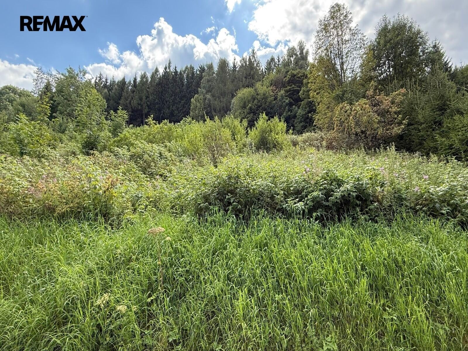 Prodej pozemek pro bydlení - Radvanice, 902 m² - 5