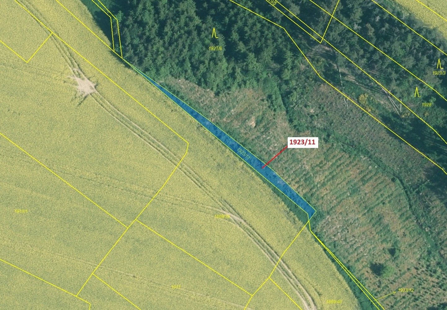 Lesy, Hosty, okres České Budějovice, Jihočeský kraj - 2