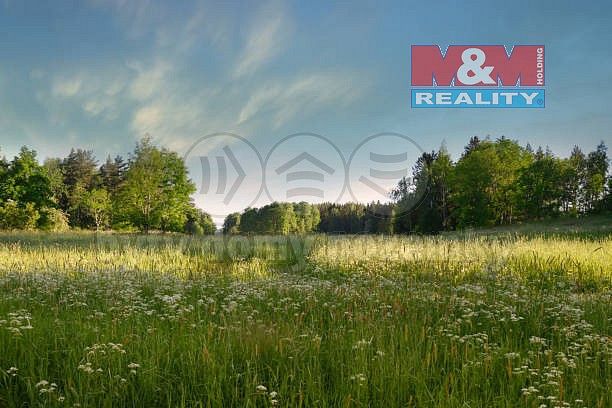 Louky, Příbram - Příbram I, Středočeský kraj - 2