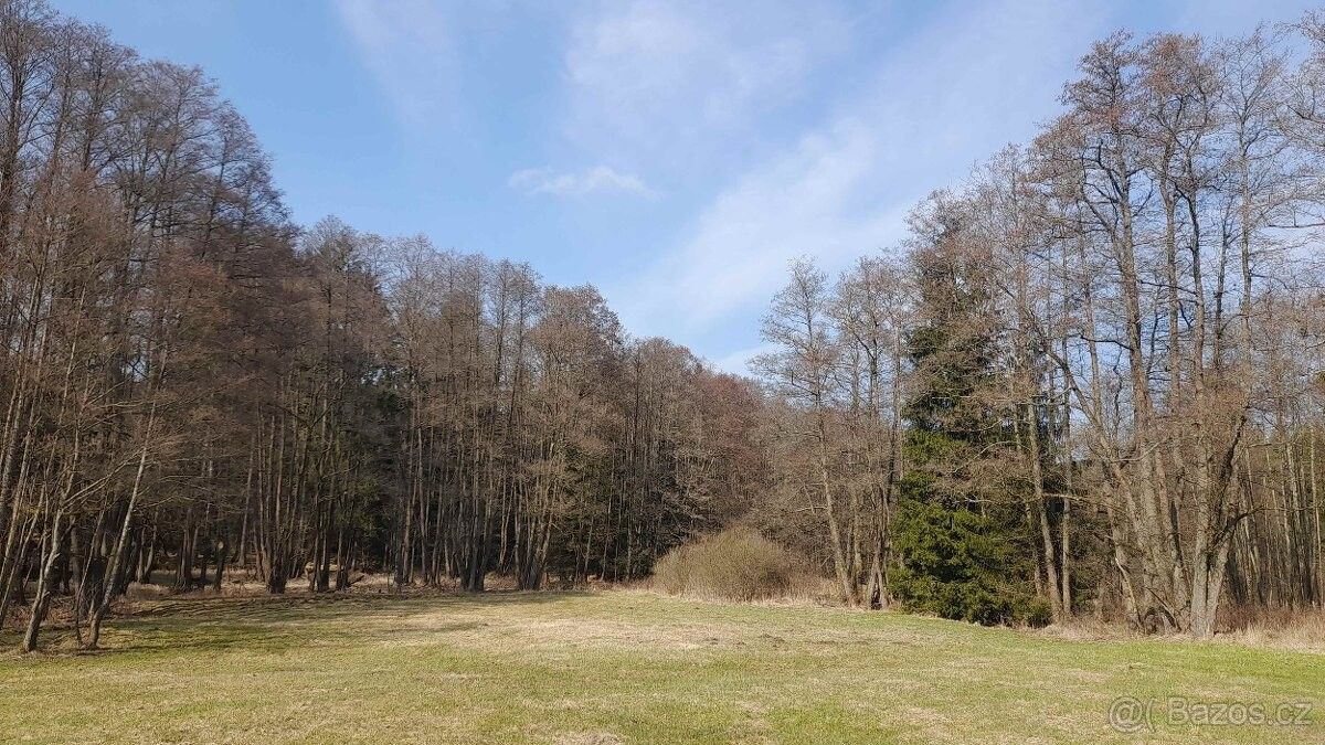 Pozemky pro bydlení, Plánice, 340 34 - 1