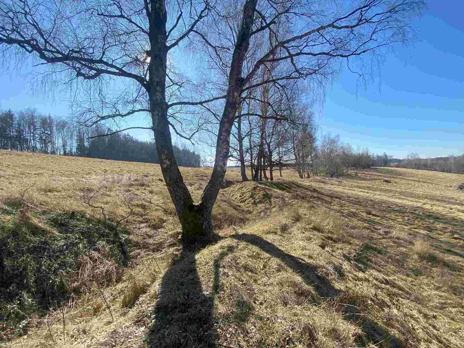 Prodej zemědělský pozemek - Svatá Kateřina, Rozvadov, 60 m²