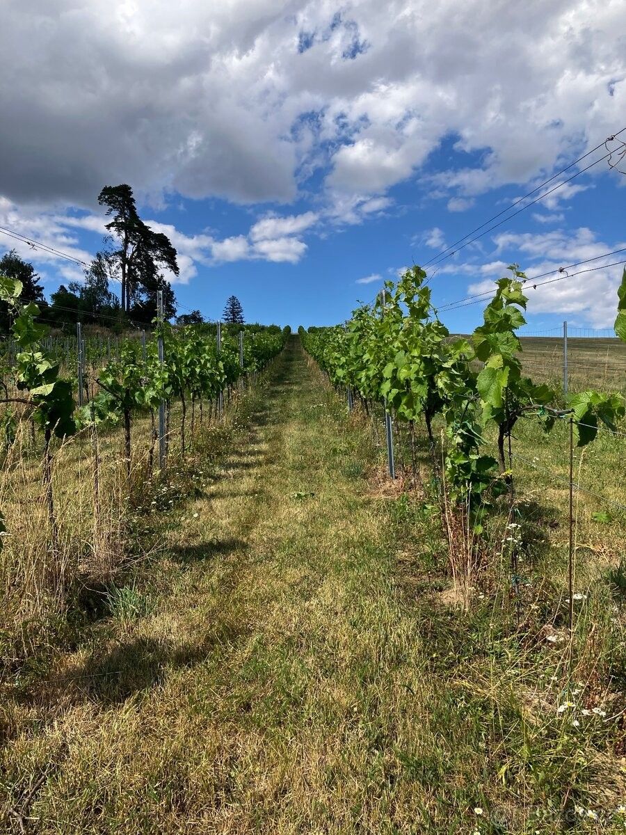 Pozemky pro bydlení, Radostín nad Oslavou, 594 44 - 1