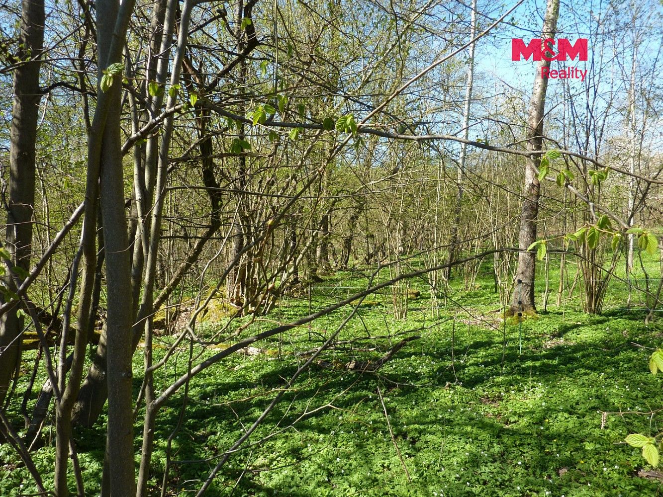 Pozemky pro bydlení, Brzice, okres Náchod - 2