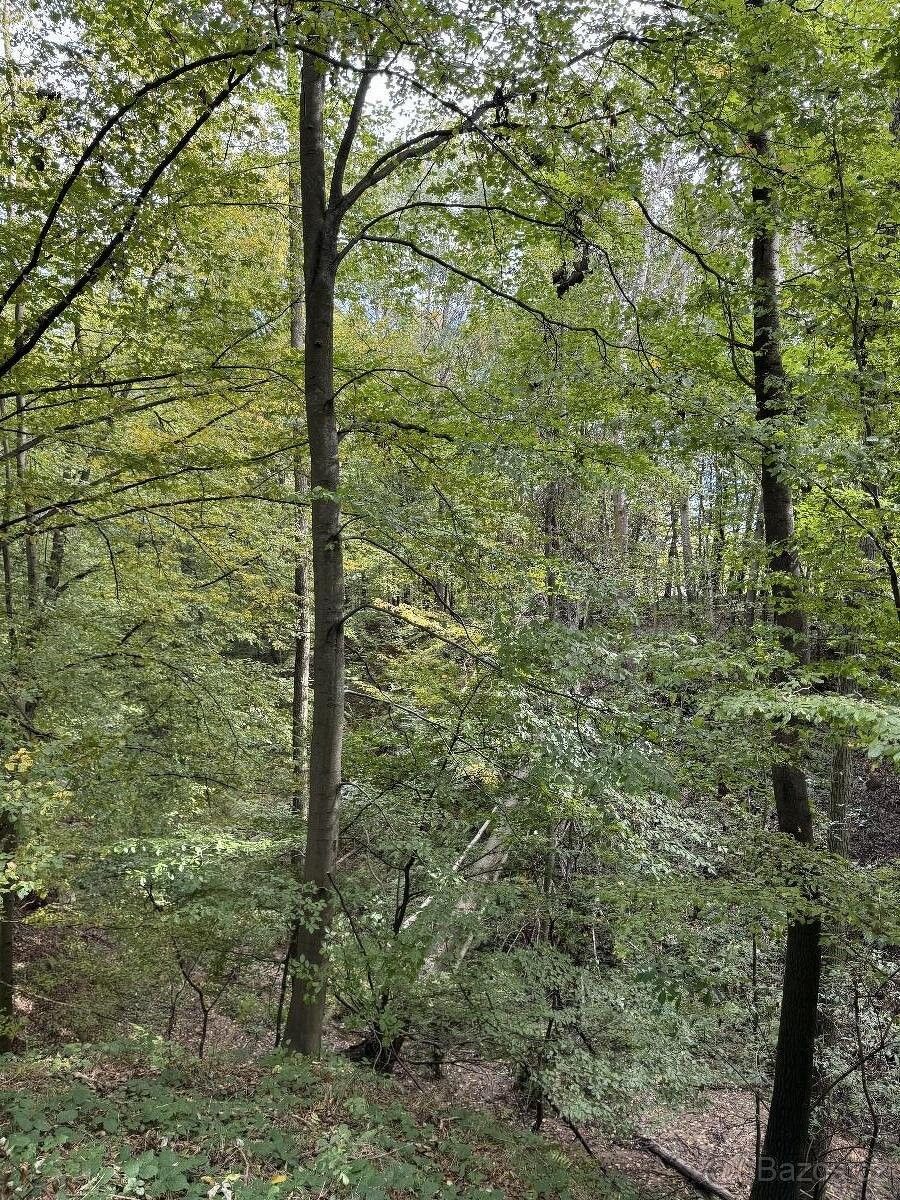 Prodej pozemek pro bydlení - Bohumín, 735 81