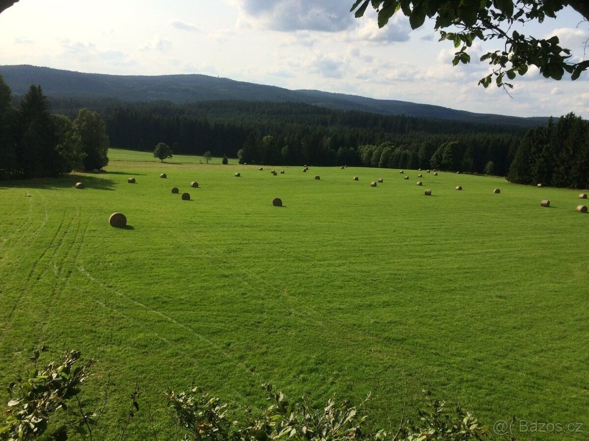 Pozemek pro bydlení · Tachov, 347 01 - 3