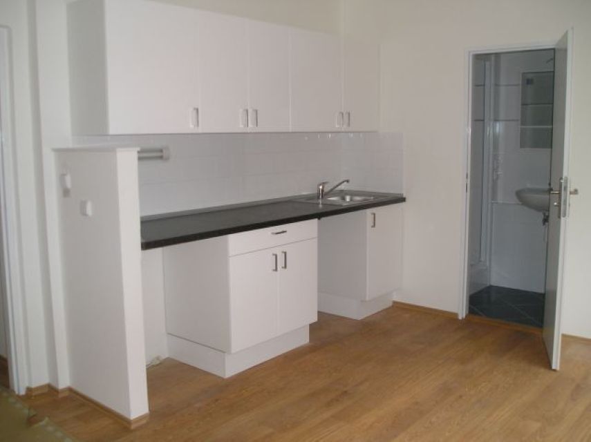 1+kk, Pasteurova, Praha - Krč, 21 m² - 2
