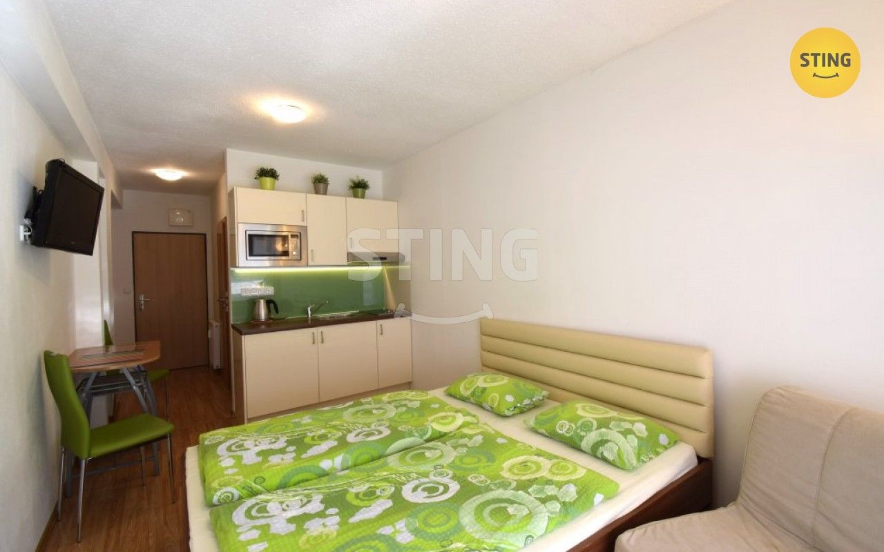 Pronájem byt 1+kk - Všemina, 24 m²