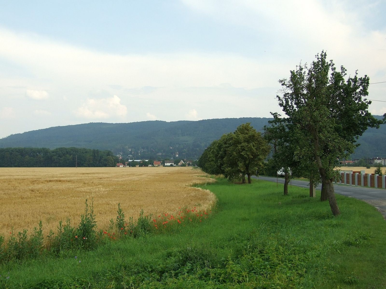 Prodej louka - Dobřichovice - Dobřichovice, Středočeský kraj - 5