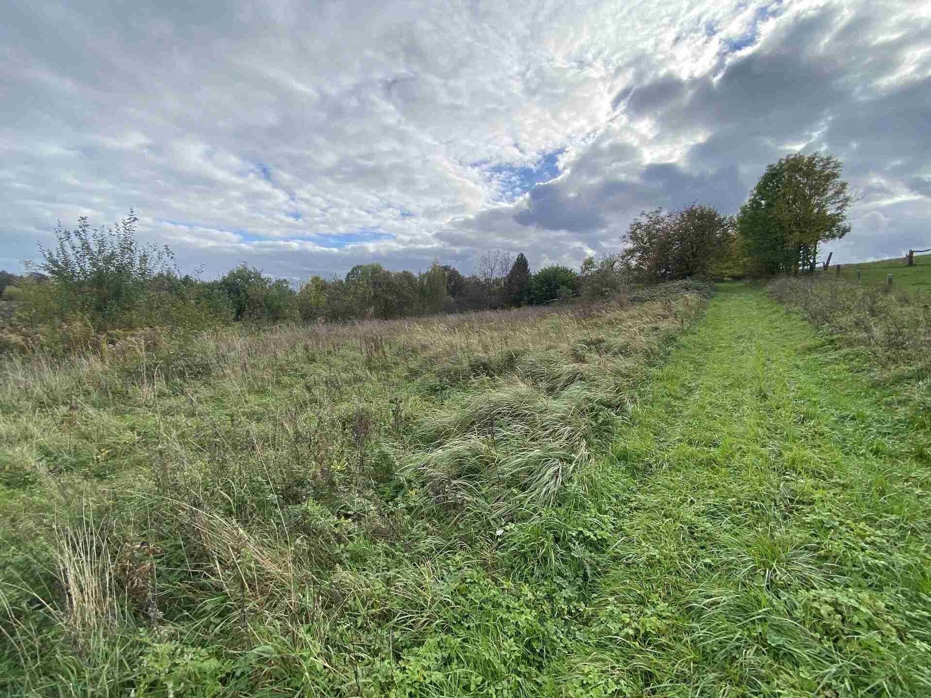 Pozemek pro bydlení · 1 651 m² · Javorník Horní Hoštice - 4