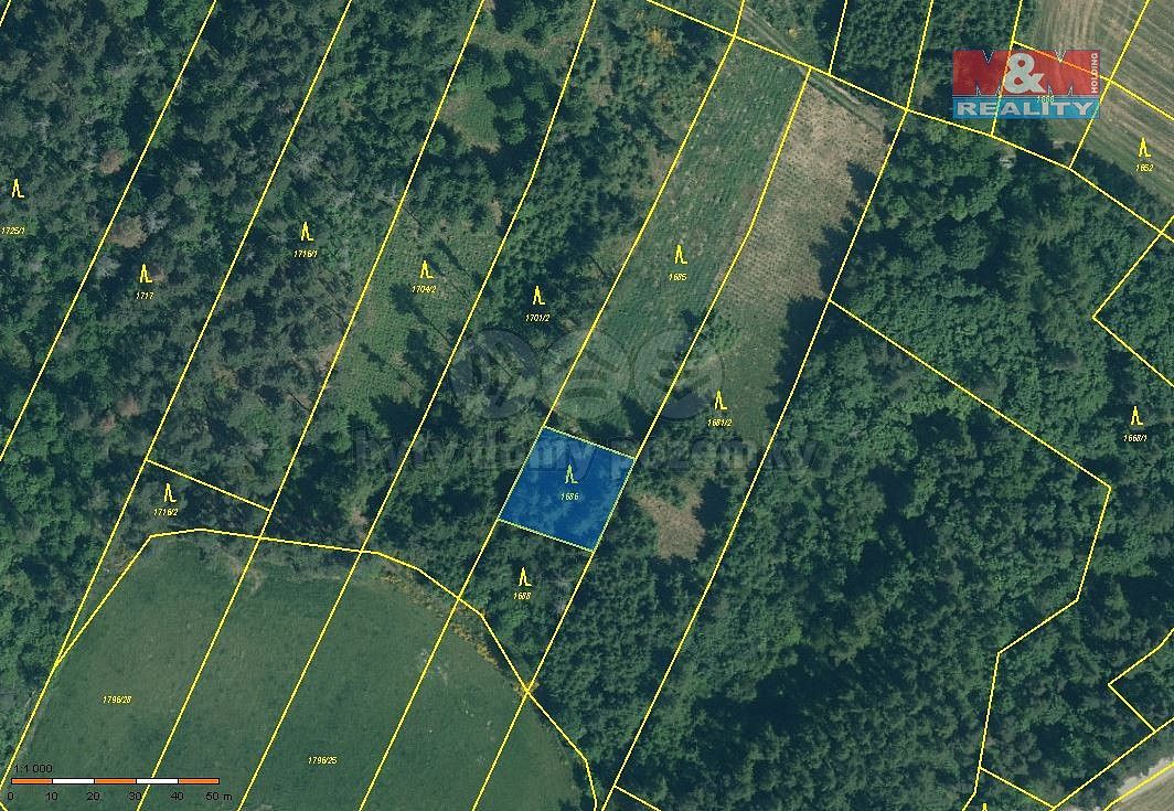 Les · Malý Bor, okres Klatovy, Plzeňský kraj - 3