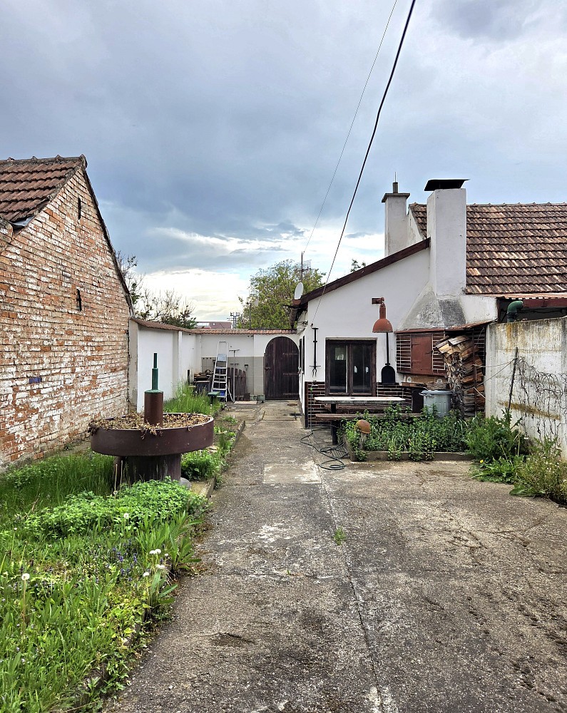 Rodinný dům · 182 m² · Holasice, okres Brno-venkov - 3