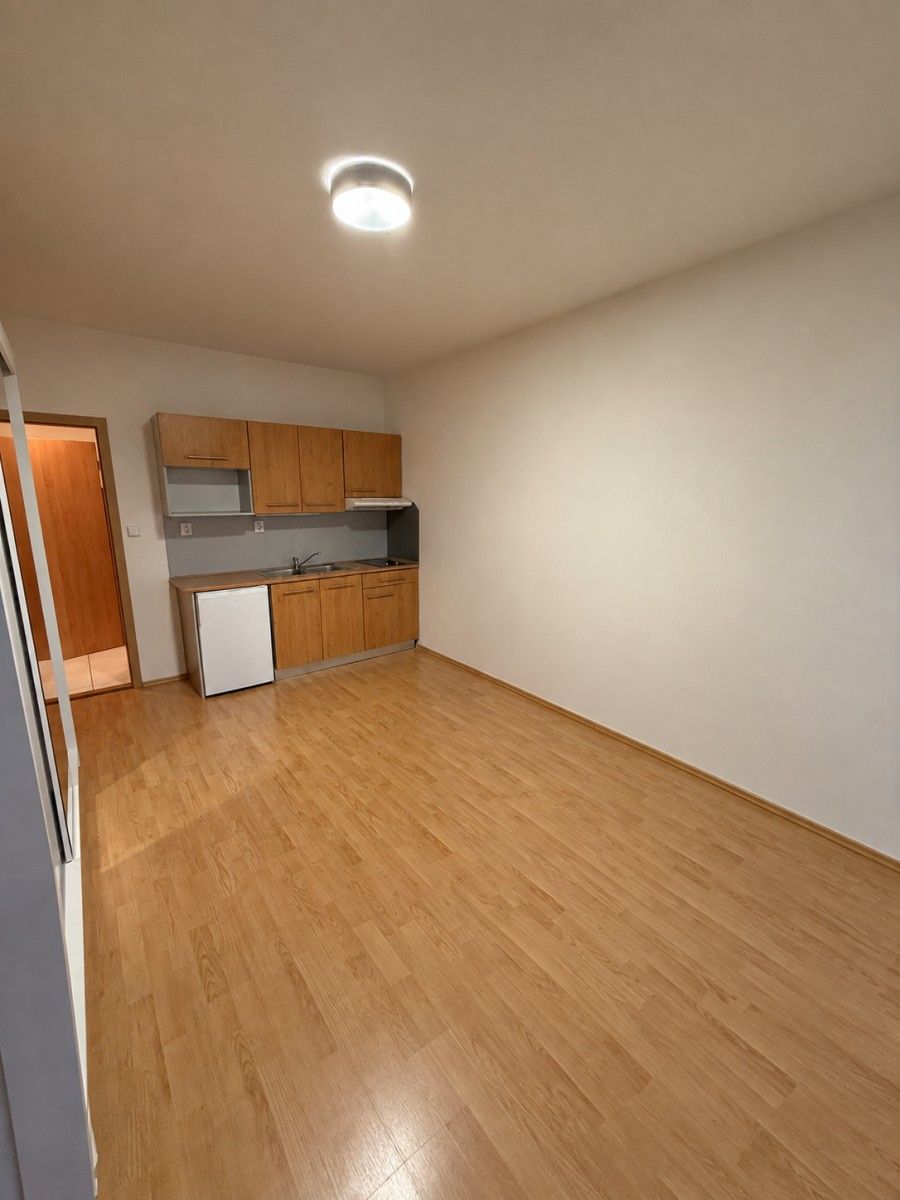 1+kk, Božetěchova, Brno - Královo Pole, Jihomoravský kraj, 21 m² - 2