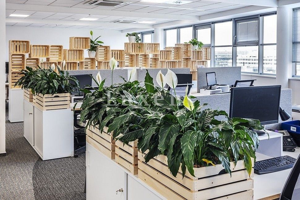 Kancelář · 303 m² · Praha - Nusle, okres Praha 4, Hlavní město Praha - 4