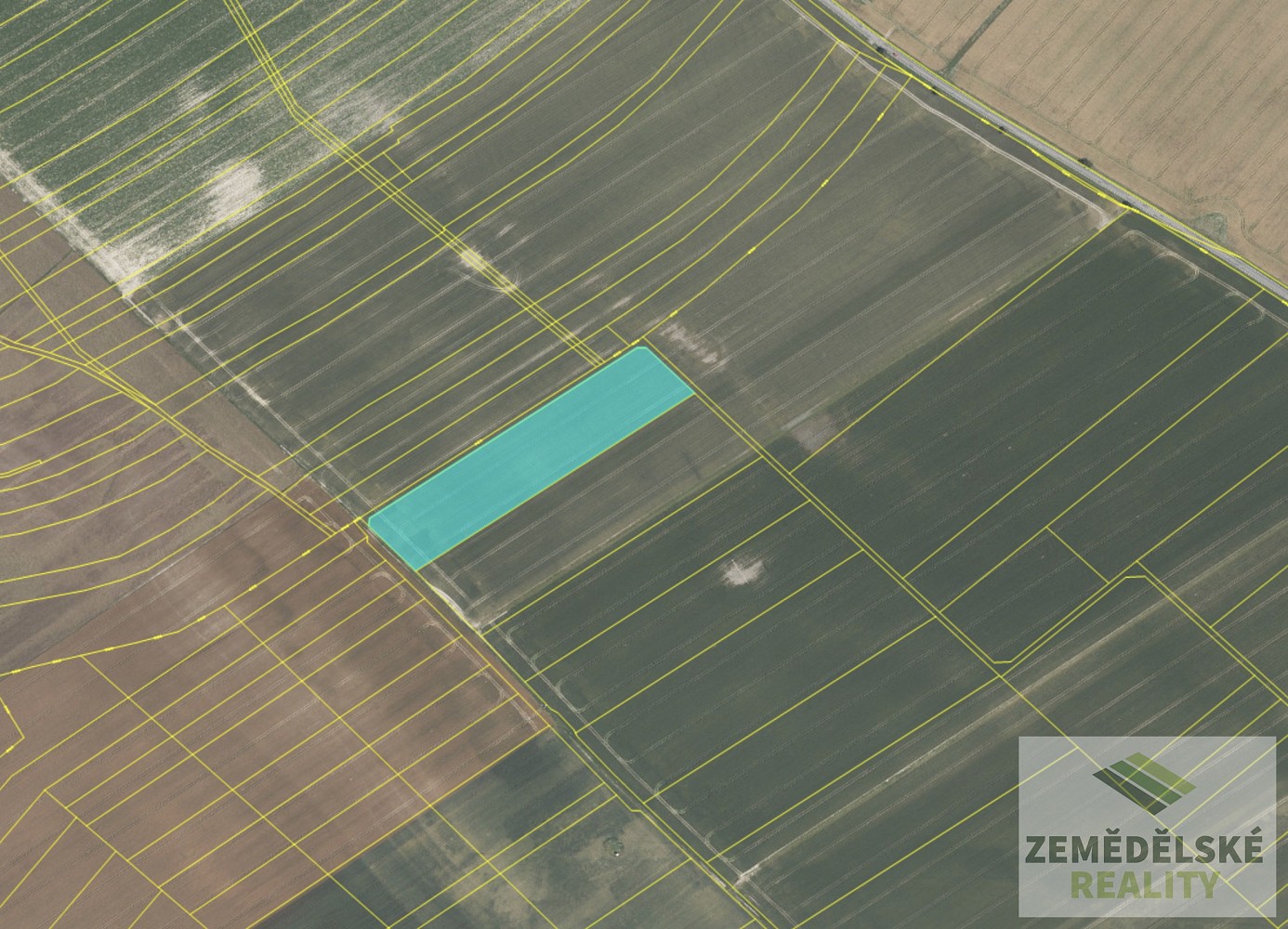 Zemědělský pozemek · Činěves, okres Nymburk - 4