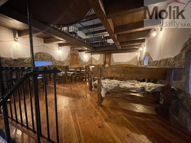 Restaurace · 686 m² · Bílinská, Bílina - 3