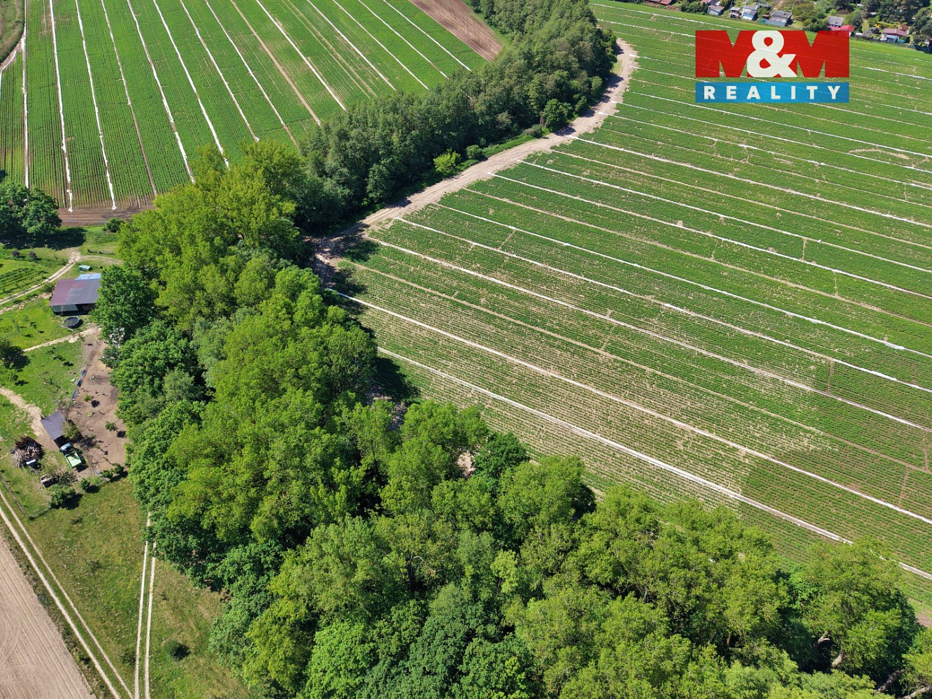 Prodej les - Lysá nad Labem, okres Nymburk - 5