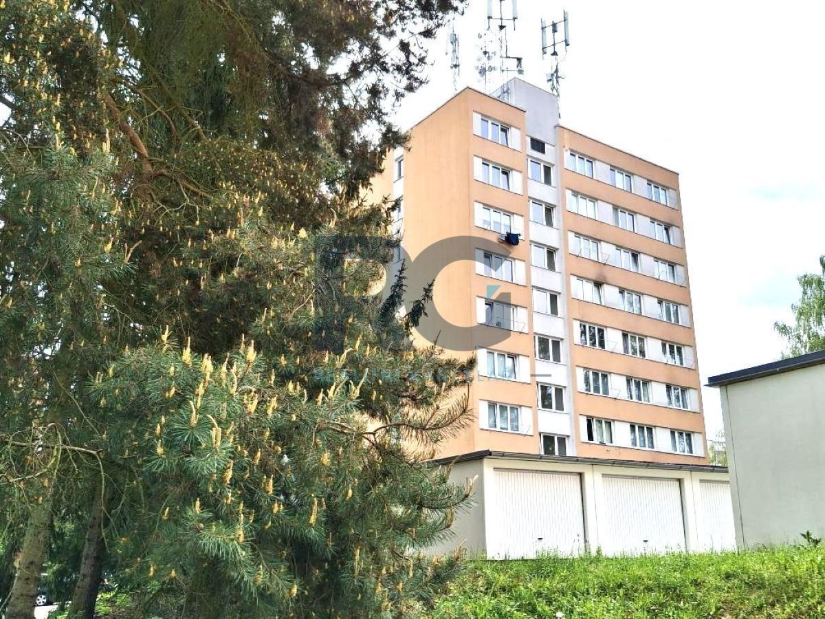 1+1, Dr. M. Horákové 2225, Písek Budějovické Předměstí, 40 m²