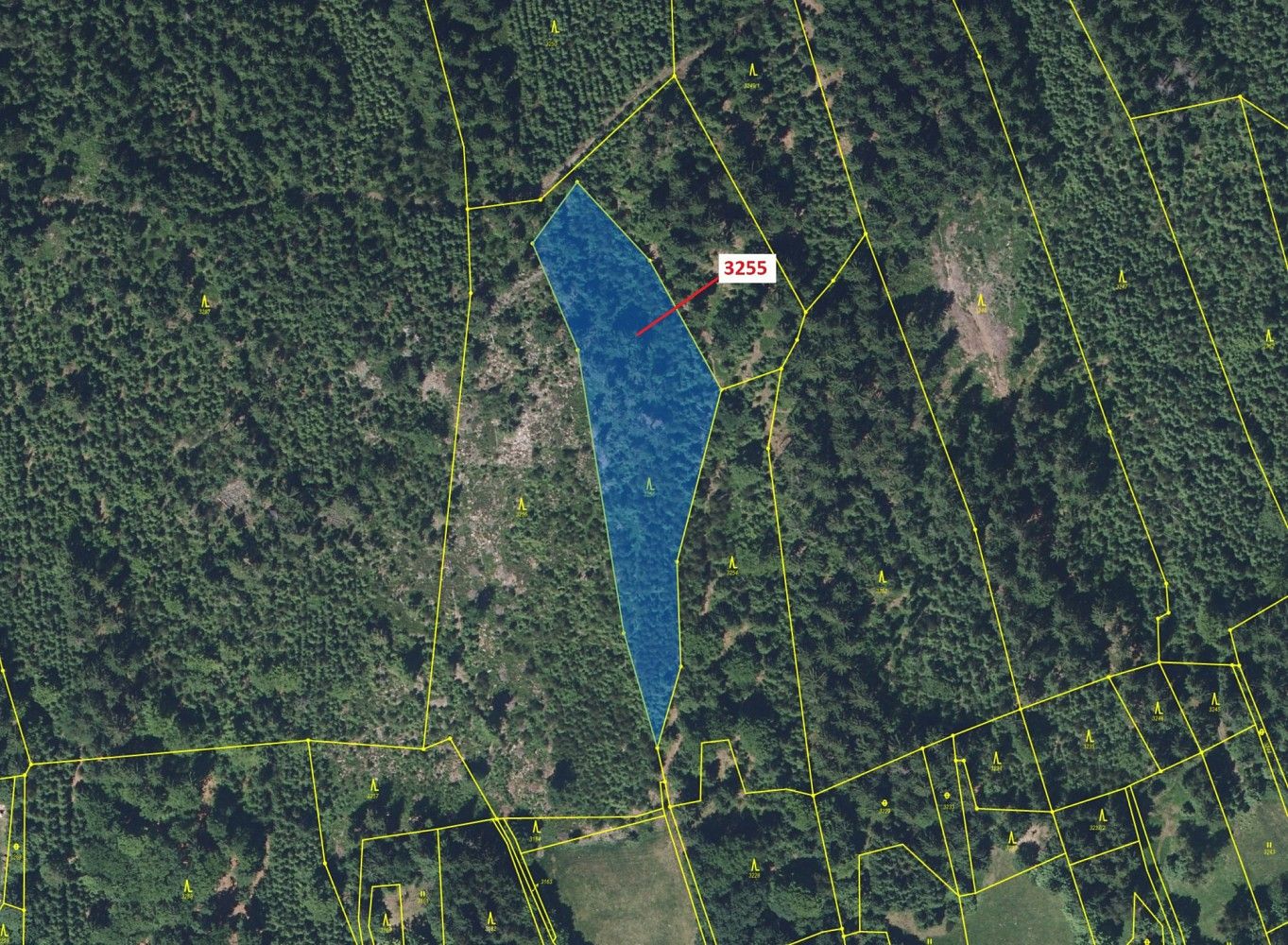 Prodej les - Zásada, okres Jablonec nad Nisou, Liberecký kraj - 2