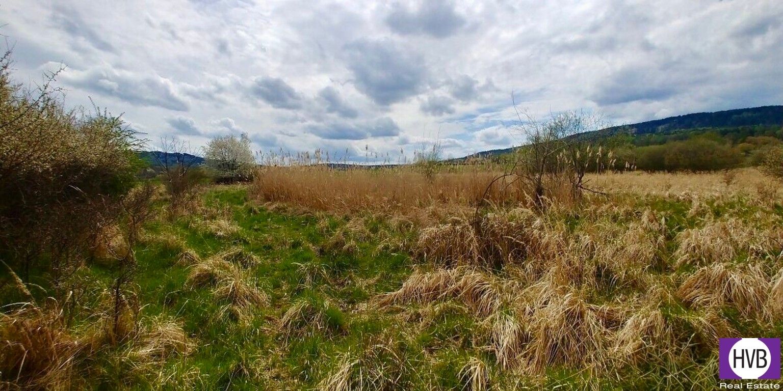 Zemědělské pozemky, Hostomice, 6 487 m² - 2