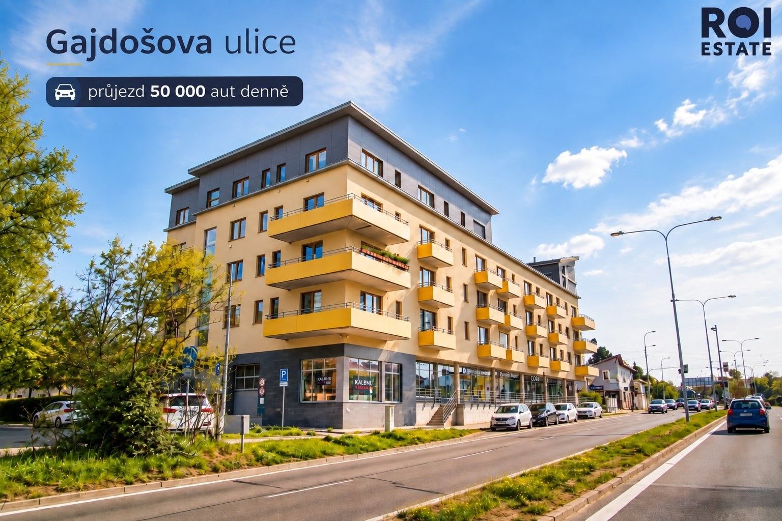 Ostatní, Gajdošova, Brno, 145 m² - 1