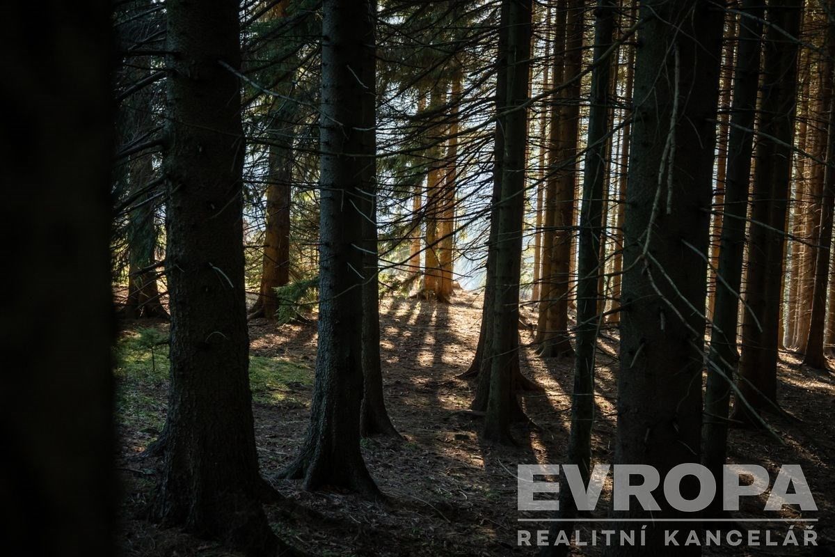 Chalupa · 279 m² · Harrachov Ryžoviště - 3