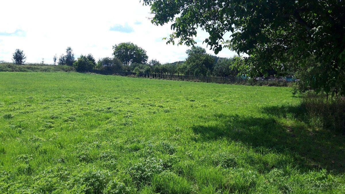 Prodej pozemek pro bydlení - Bukovany, 779 00