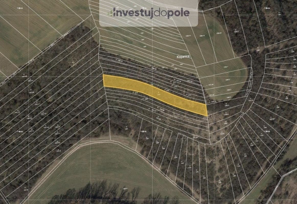 Prodej louka - Zdounky, 768 02, 2 864 m²