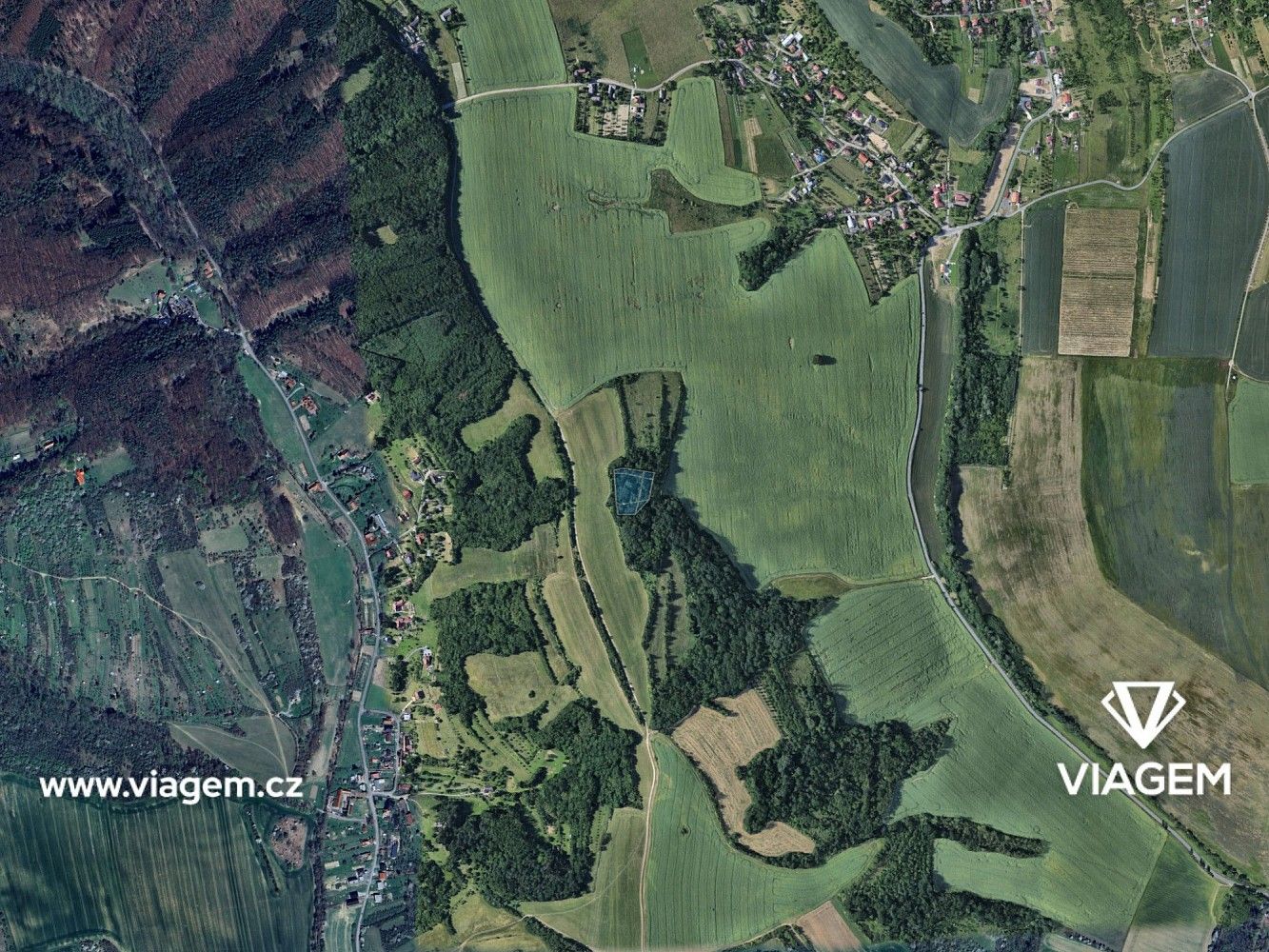 Les · Kudlovice, okres Uherské Hradiště, Zlínský kraj - 3