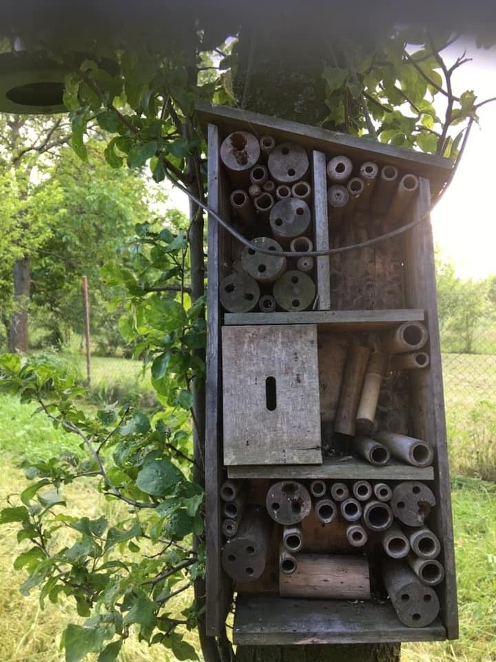 Zahrady, Bystřice pod Hostýnem, 768 61