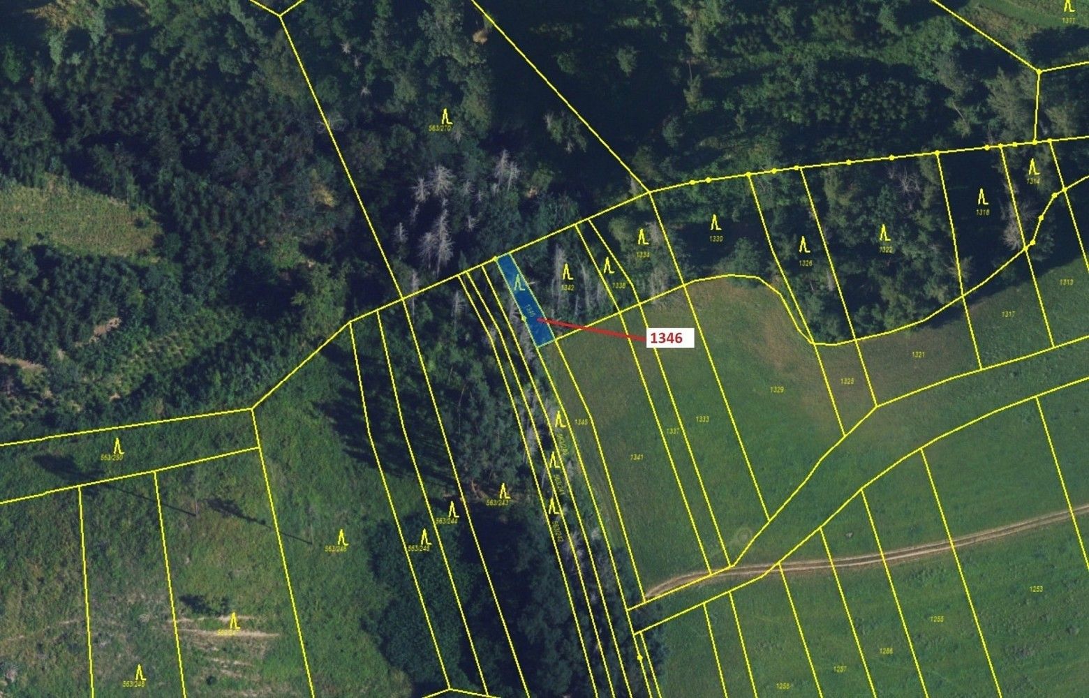 Les · Spešov, okres Blansko, Jihomoravský kraj - 2