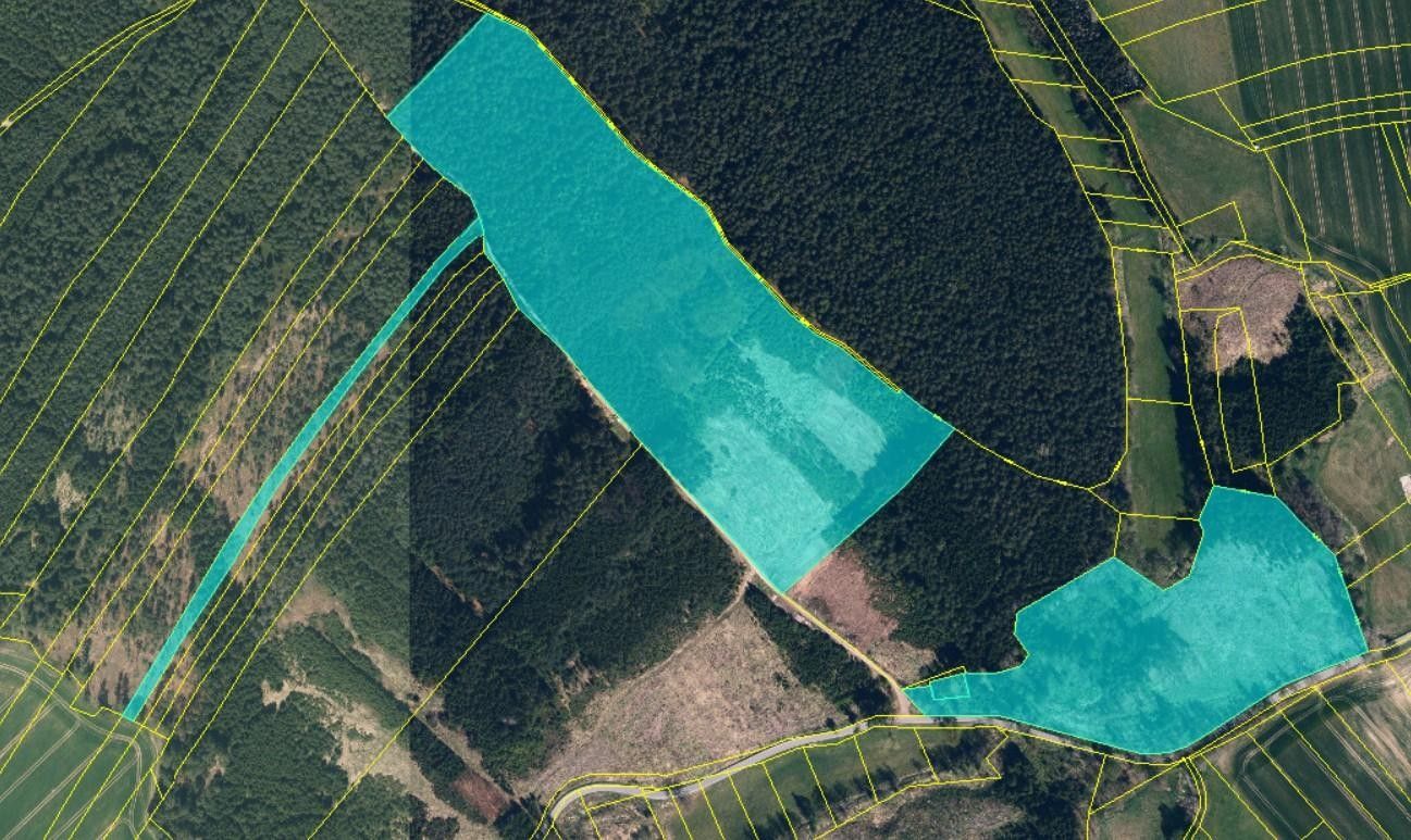Prodej les - Vlčeves, 250 236 m²
